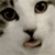 http://upforme.ru/uploads/0010/e9/37/169/91109.gif
