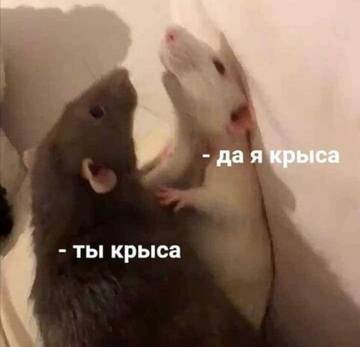http://upforme.ru/uploads/0010/e9/37/169/t271696.jpg