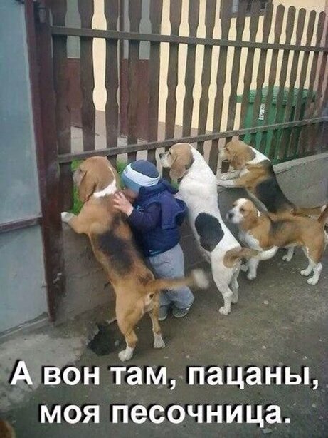 http://upforme.ru/uploads/0010/ea/55/2/t11401.jpg