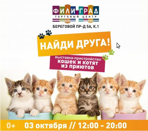 http://upforme.ru/uploads/0010/ea/55/2/t427835.jpg