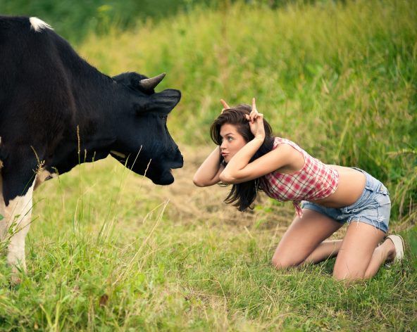 http://upforme.ru/uploads/0010/ea/55/2/t65416.jpg