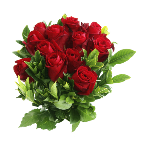 http://upforme.ru/uploads/0010/ea/55/2/t973118.png