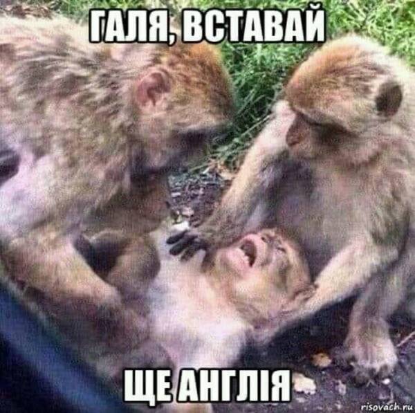 http://upforme.ru/uploads/0010/fa/95/6/t555658.jpg