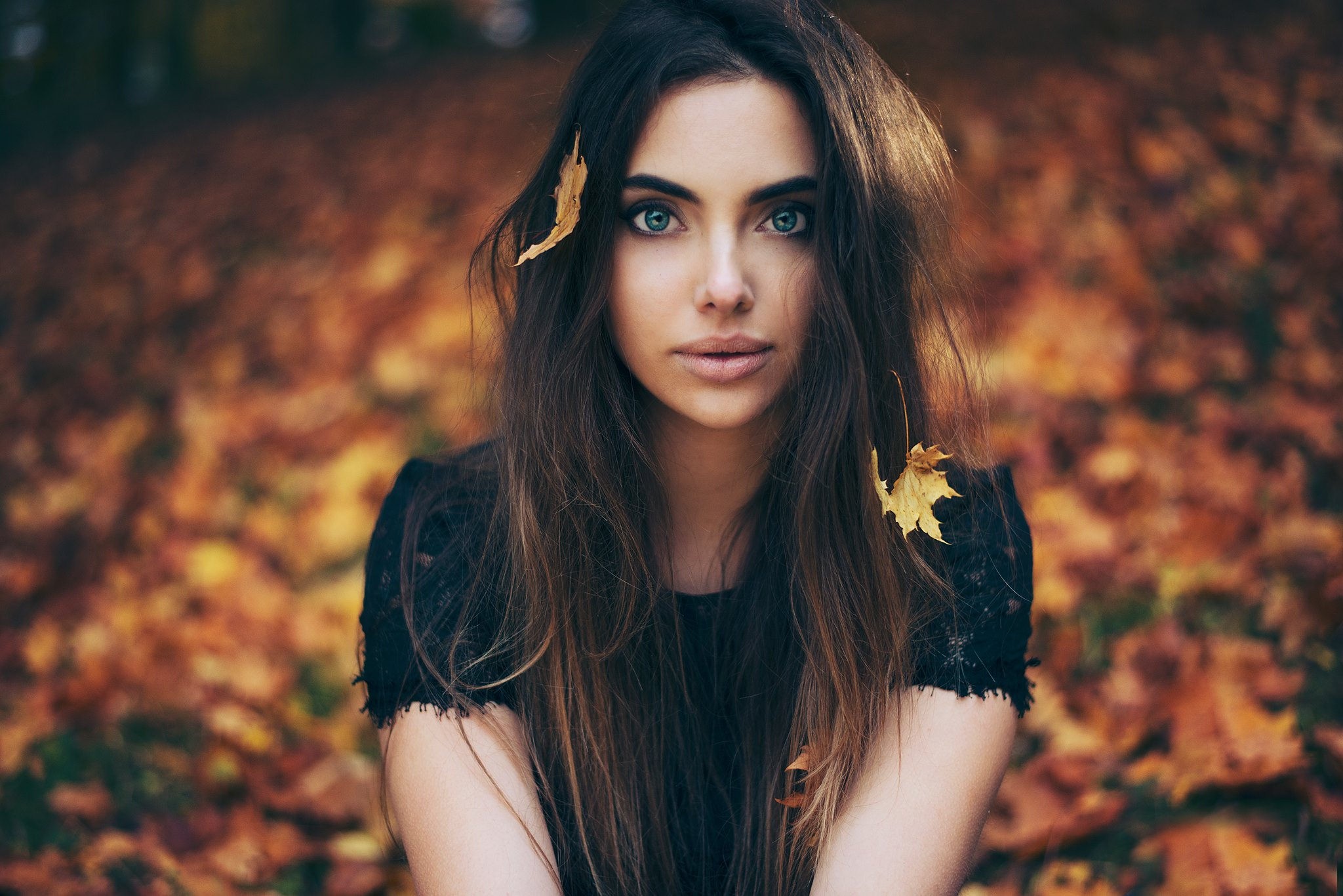 http://upforme.ru/uploads/0011/20/45/1568/671197.jpg