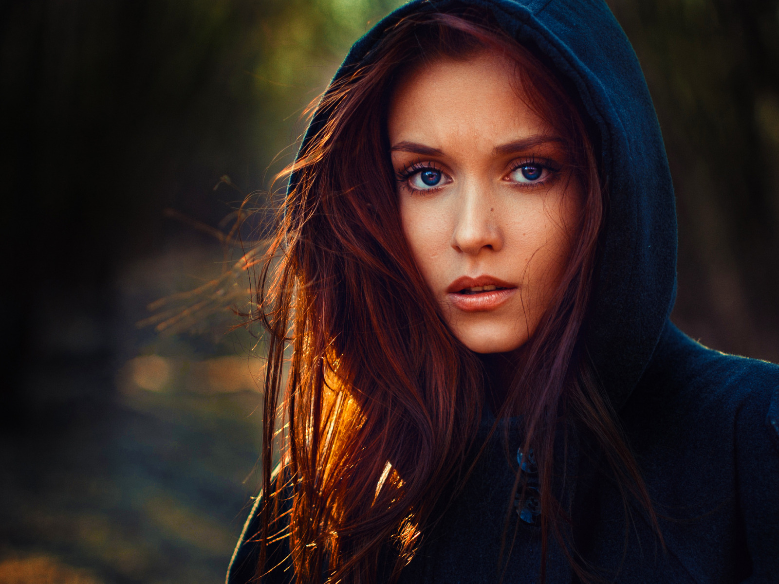 http://upforme.ru/uploads/0011/20/45/1568/749712.jpg