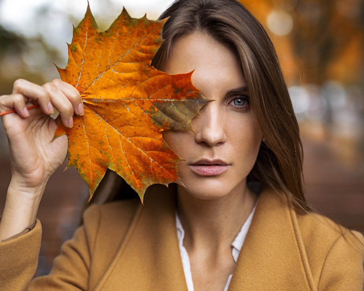 http://upforme.ru/uploads/0011/20/45/1568/961373.jpg