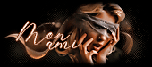 http://upforme.ru/uploads/0011/20/45/1616/t423743.gif