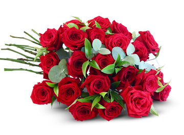 http://upforme.ru/uploads/0011/20/45/1883/t156742.png