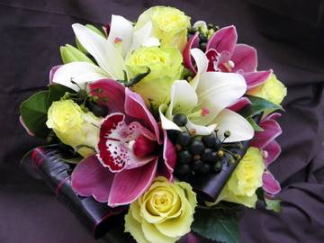 http://upforme.ru/uploads/0011/20/45/1883/t70545.jpg