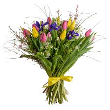 http://upforme.ru/uploads/0011/20/45/1966/t88326.jpg