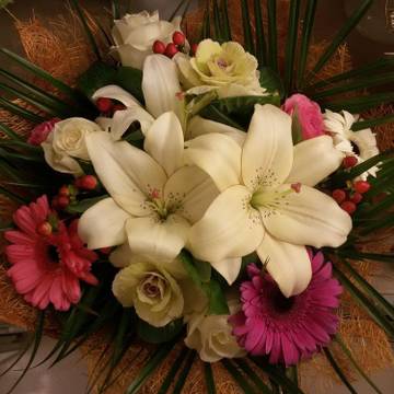 http://upforme.ru/uploads/0011/20/45/2600/t283714.jpg