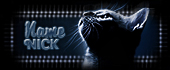 http://upforme.ru/uploads/0011/20/45/62/150816.jpg