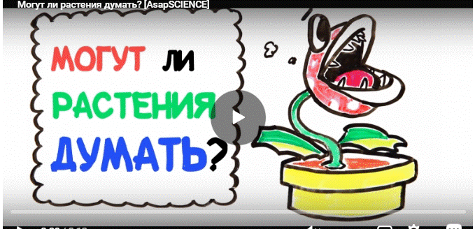 http://upforme.ru/uploads/0011/5d/92/2/320996.gif