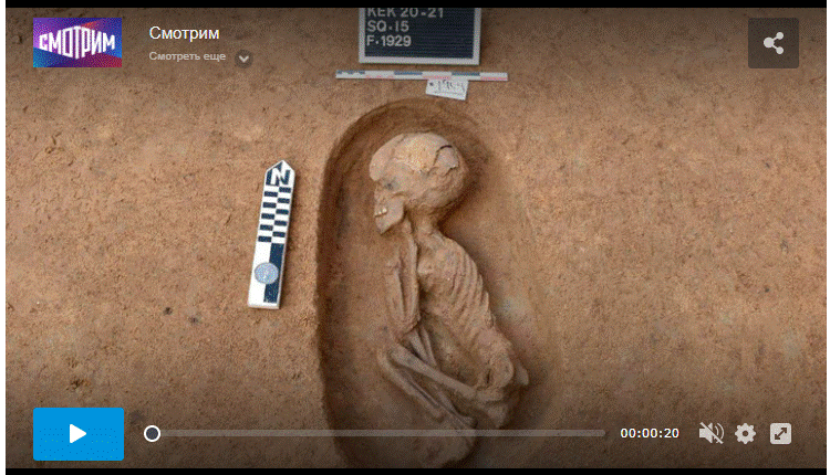 http://upforme.ru/uploads/0011/5d/92/2/375662.gif