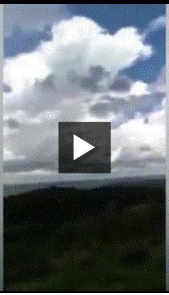 http://upforme.ru/uploads/0011/5d/92/2/757089.gif