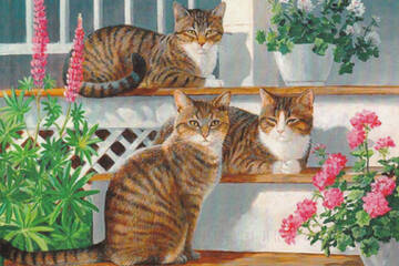 http://upforme.ru/uploads/0011/9c/2c/112/t194035.jpg