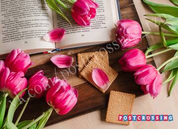 http://upforme.ru/uploads/0011/9c/2c/112/t509967.jpg