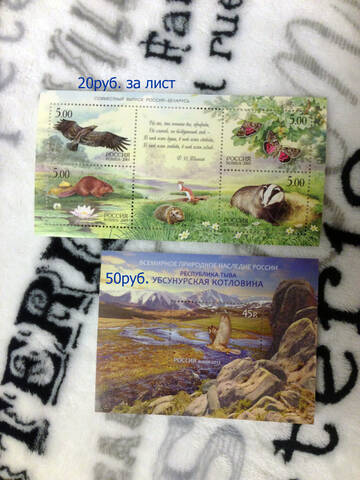 http://upforme.ru/uploads/0011/9c/2c/112/t552528.jpg