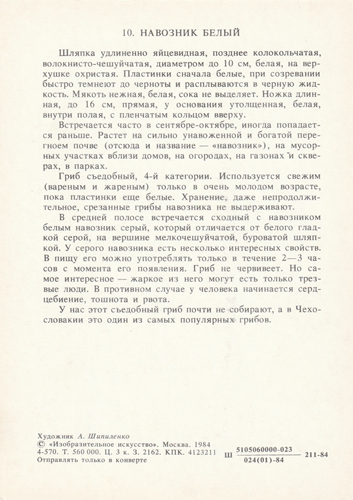 http://upforme.ru/uploads/0011/9c/2c/112/t572140.jpg