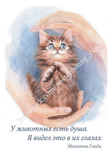http://upforme.ru/uploads/0011/9c/2c/112/t597716.jpg