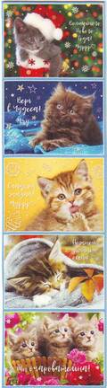 http://upforme.ru/uploads/0011/9c/2c/12/t415202.jpg