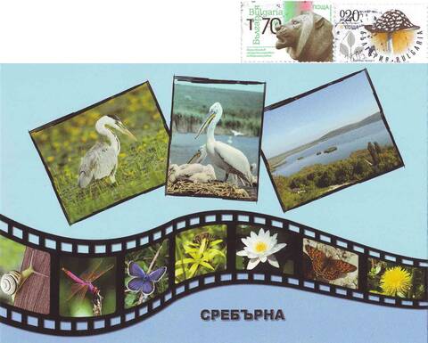http://upforme.ru/uploads/0011/9c/2c/12/t445663.jpg
