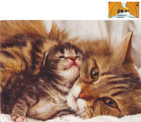 http://upforme.ru/uploads/0011/9c/2c/12/t97071.jpg
