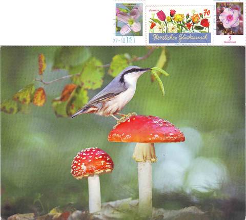 http://upforme.ru/uploads/0011/9c/2c/12/t99632.jpg