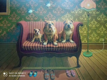 http://upforme.ru/uploads/0011/9c/2c/1364/t132824.jpg