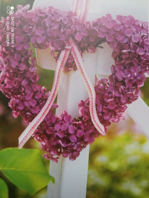 http://upforme.ru/uploads/0011/9c/2c/1364/t185664.jpg