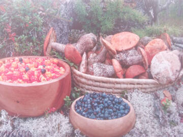 http://upforme.ru/uploads/0011/9c/2c/1364/t313441.jpg