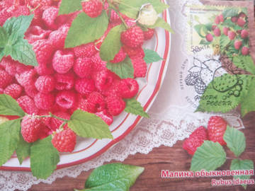 http://upforme.ru/uploads/0011/9c/2c/1364/t33408.jpg