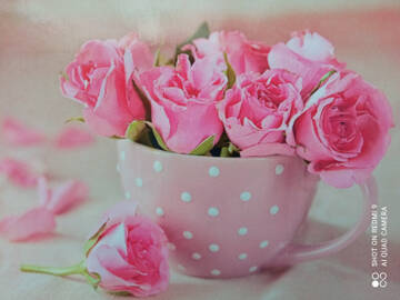 http://upforme.ru/uploads/0011/9c/2c/1364/t366381.jpg