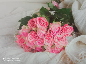 http://upforme.ru/uploads/0011/9c/2c/1364/t452370.jpg