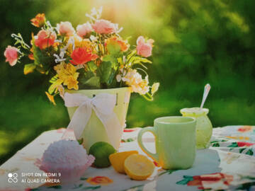 http://upforme.ru/uploads/0011/9c/2c/1364/t570975.jpg