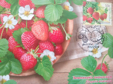 http://upforme.ru/uploads/0011/9c/2c/1364/t73298.jpg