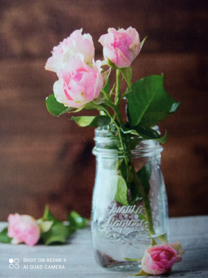 http://upforme.ru/uploads/0011/9c/2c/1364/t743420.jpg