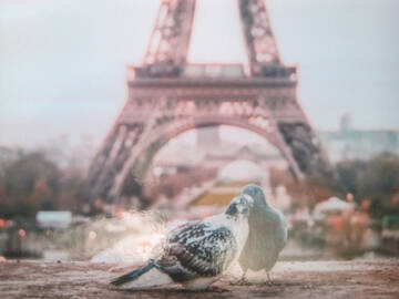 http://upforme.ru/uploads/0011/9c/2c/1364/t841492.jpg