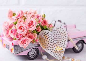 http://upforme.ru/uploads/0011/9c/2c/1364/t916900.jpg