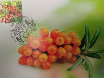 http://upforme.ru/uploads/0011/9c/2c/1364/t96692.jpg