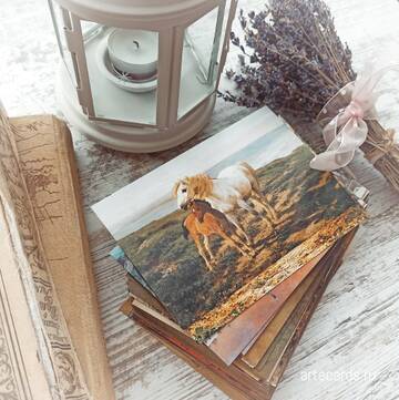 http://upforme.ru/uploads/0011/9c/2c/1395/t704112.jpg