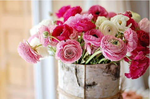 http://upforme.ru/uploads/0011/9c/2c/142/t516605.jpg