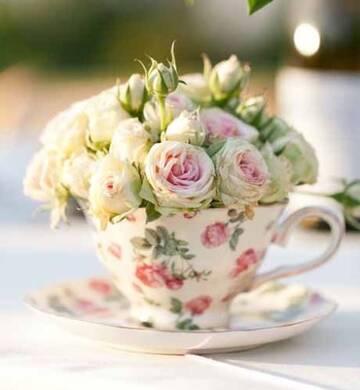 http://upforme.ru/uploads/0011/9c/2c/142/t666648.jpg