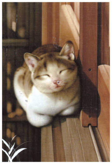 http://upforme.ru/uploads/0011/9c/2c/1430/t636513.jpg