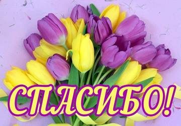 http://upforme.ru/uploads/0011/9c/2c/1543/t81151.jpg