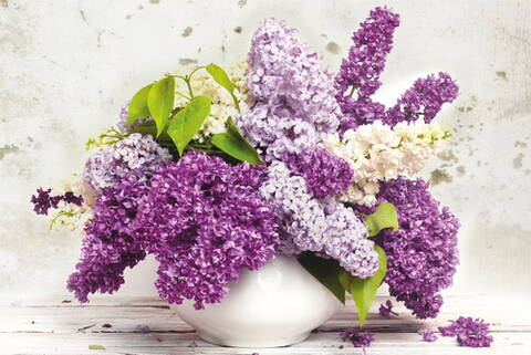 http://upforme.ru/uploads/0011/9c/2c/1552/t310592.jpg
