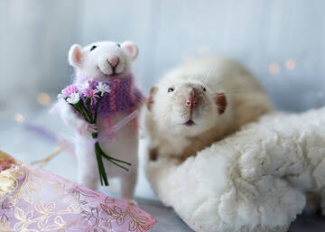 http://upforme.ru/uploads/0011/9c/2c/1552/t941860.jpg