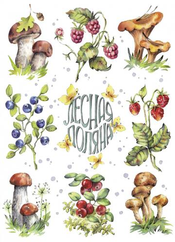http://upforme.ru/uploads/0011/9c/2c/1595/t424037.jpg