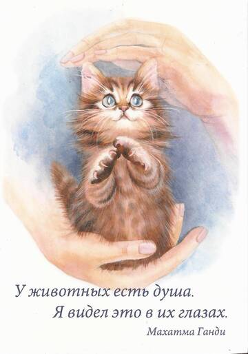 http://upforme.ru/uploads/0011/9c/2c/1595/t812722.jpg