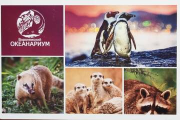 http://upforme.ru/uploads/0011/9c/2c/1620/t427007.jpg